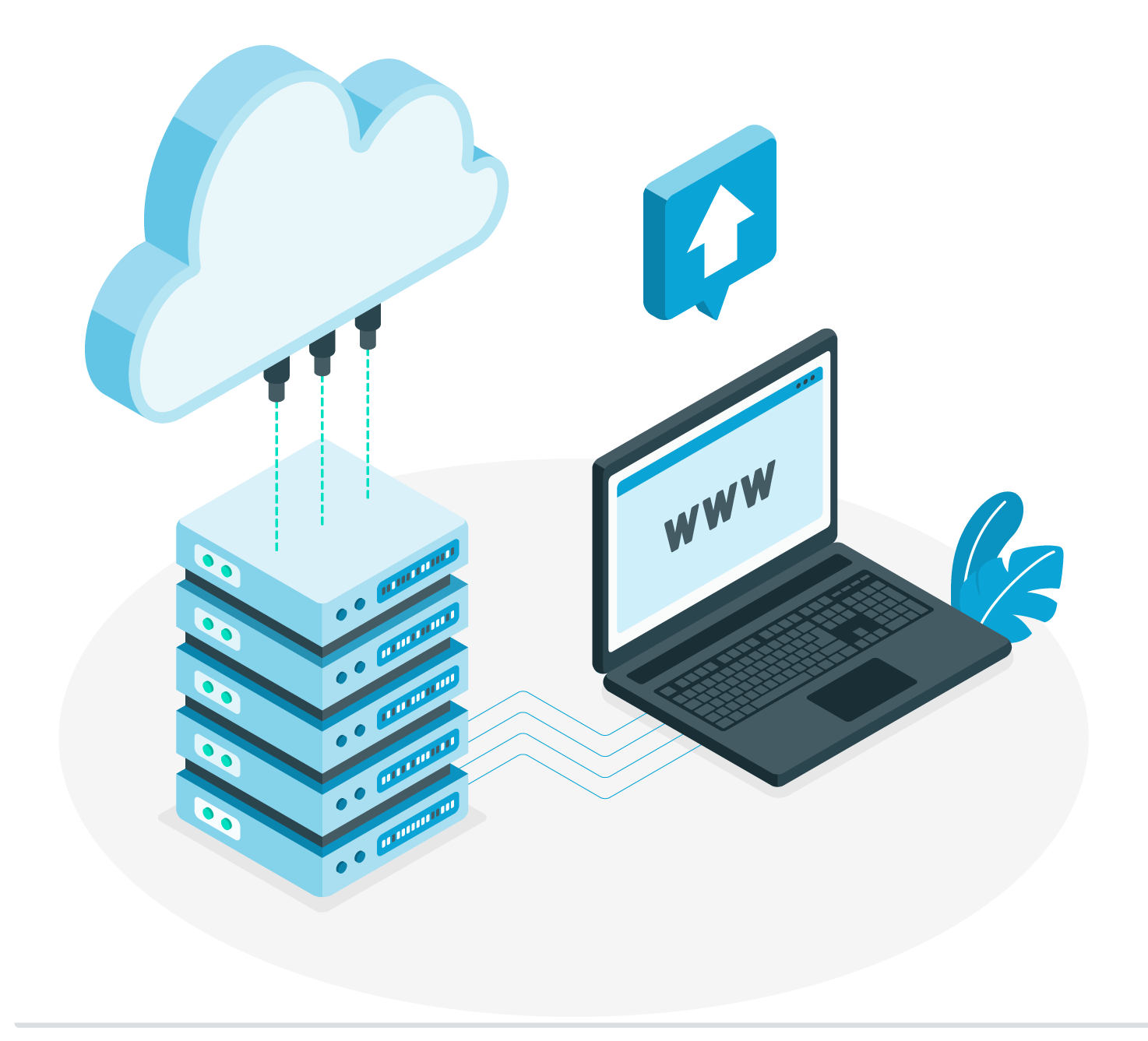  Web     Hosting